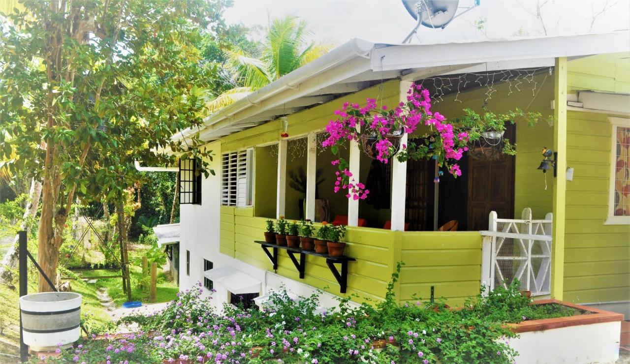 Leatherback Lodge Eco B&B Salybia Экстерьер фото